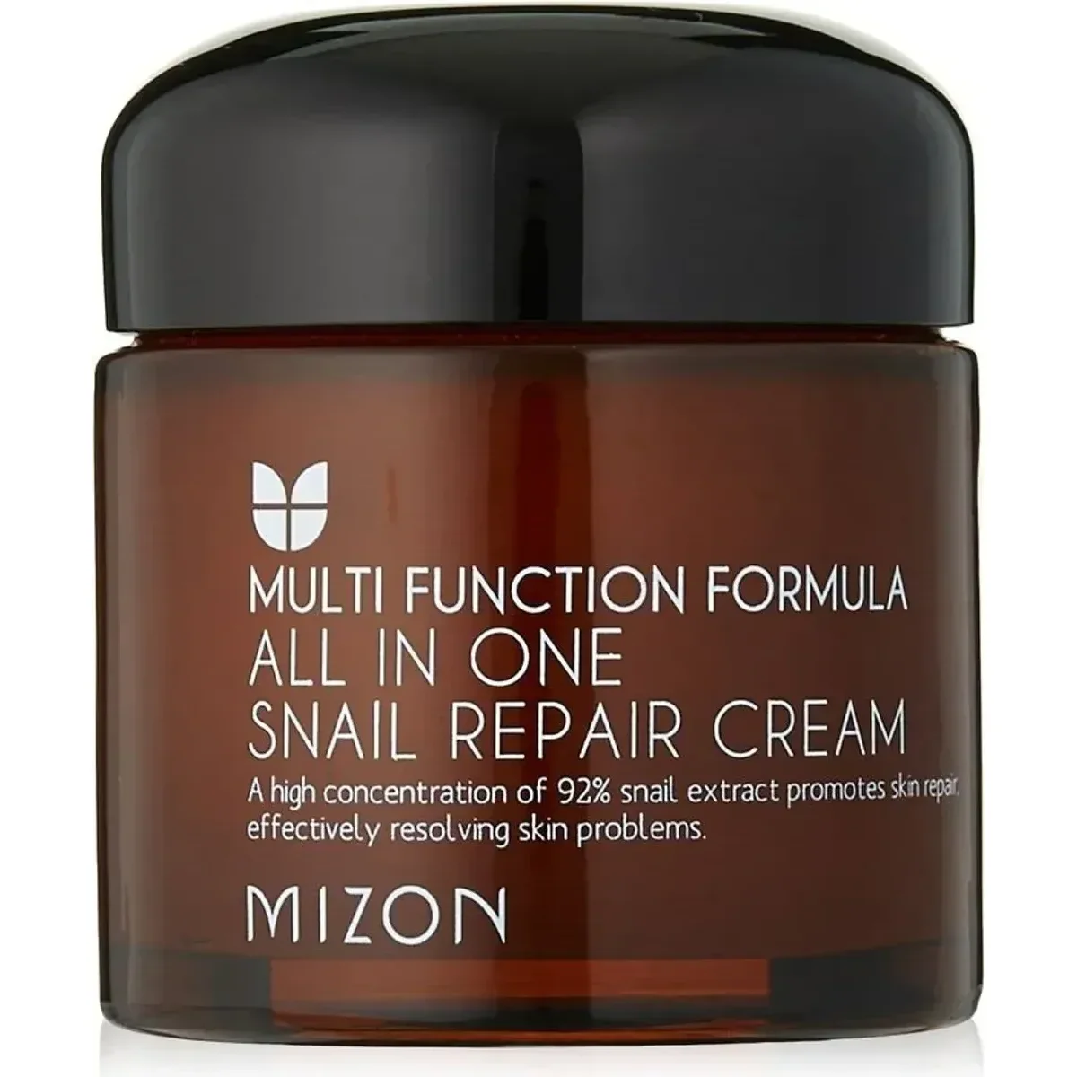 Mizon All In One Snail Repair Cream