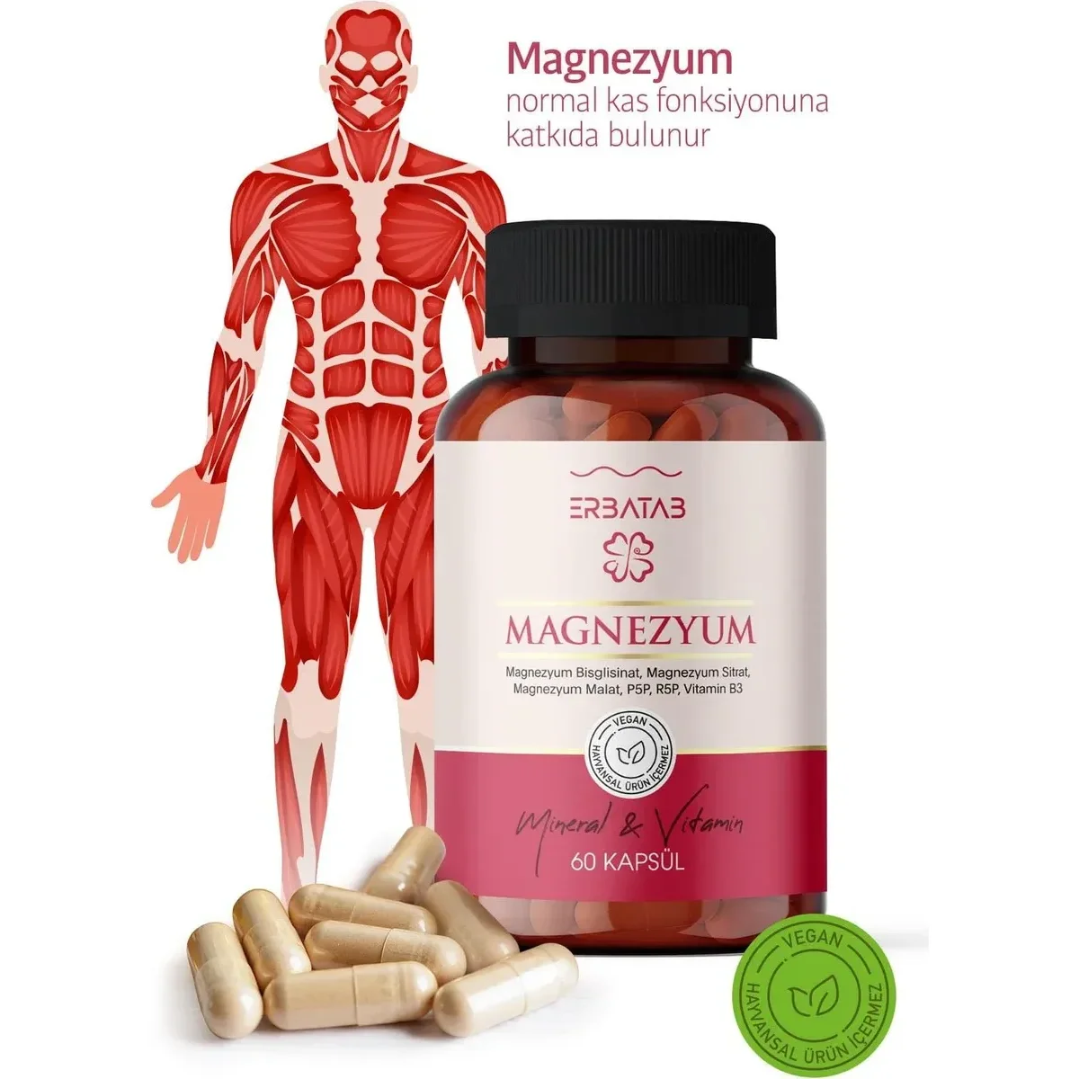Erbatab Magnezyum 3'lü Form (Bisglisinat, Sitrat, Malat) + B2, B3, B6 60 Kapsül