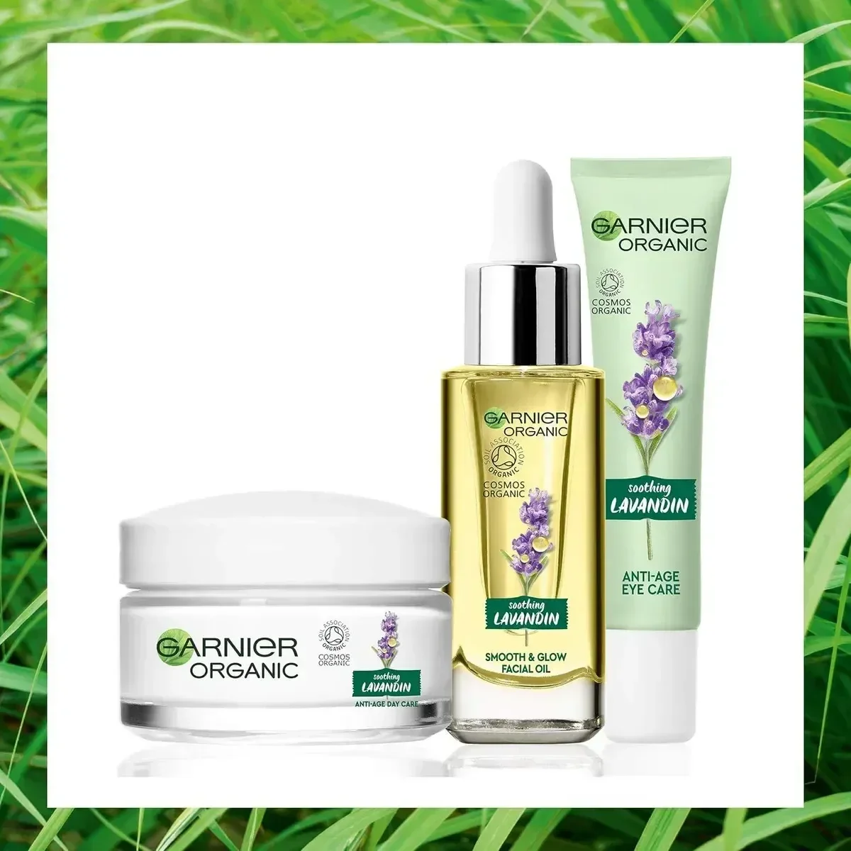 Garnier Organic Lavandin Face Moisturizer
